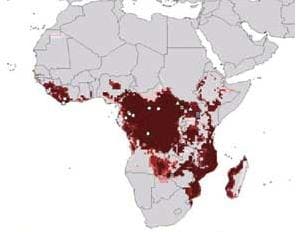 ГЛ Эбола, географическое распространение