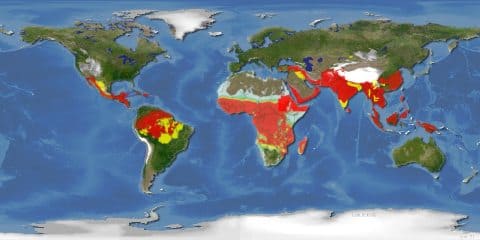 Карта мира. Красным цветом показаны области, где наиболее часто регистрируются случаи заболевания малярией